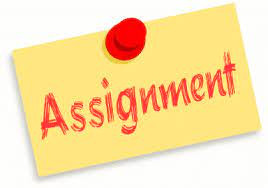 ASSIGNMENT